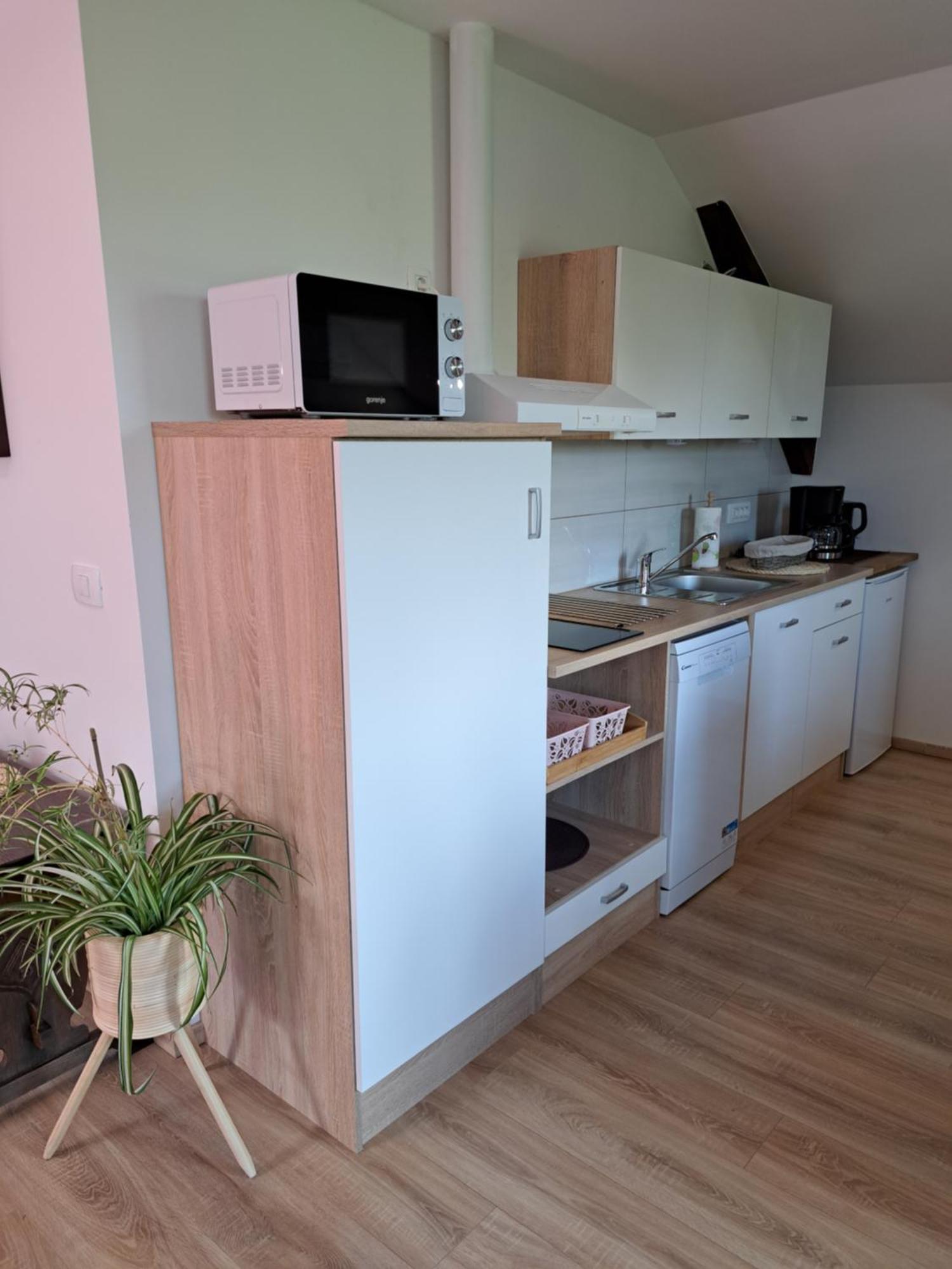 Apartmaji Magda Apartment Zgornje Gorje Exterior photo